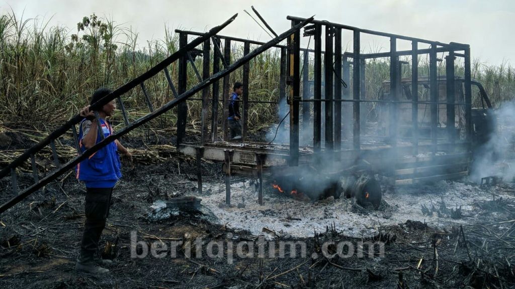 Lahan Tebu di Mojokerto Terbakar, Sebuah Truk Ikut Terbakar dan Sopir Terluka