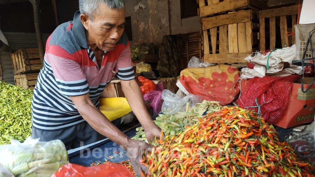 Harga Cabai Rawit di Mojokerto Tembus Rp 60 Ribu/Kg