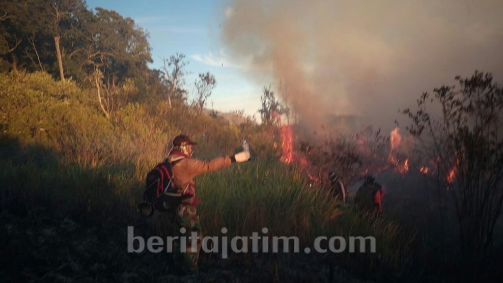Kebakaran 9,5 Hektare Lahan di Lereng Welirang Mojokerto Berhasil Dipadamkan
