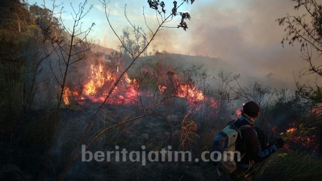 Pemadaman Kebakaran Gunung Welirang Gunakan Alat Seadanya