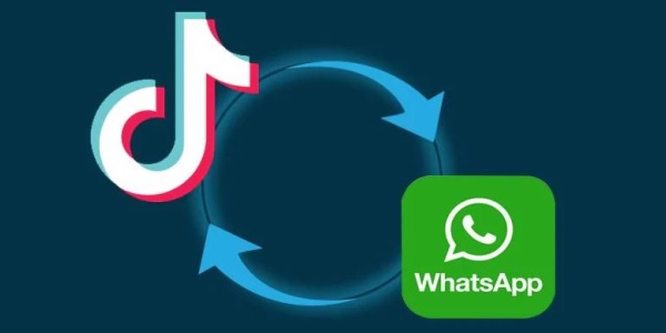Tik Tok Bisa Berbagai Video di Aplikasi Whatsapp