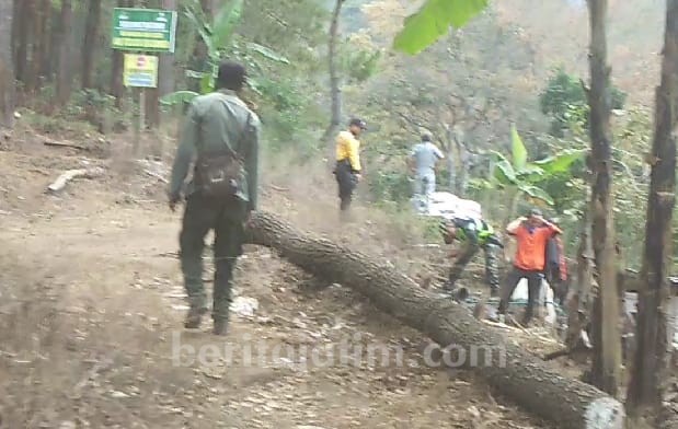 Patroli Gabungan Cegah Karhutlah di Hutan Lindung Precet