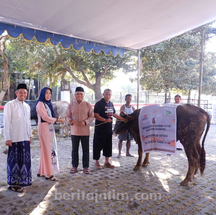 Semen Indonesia Salurkan 233 Hewan Kurban