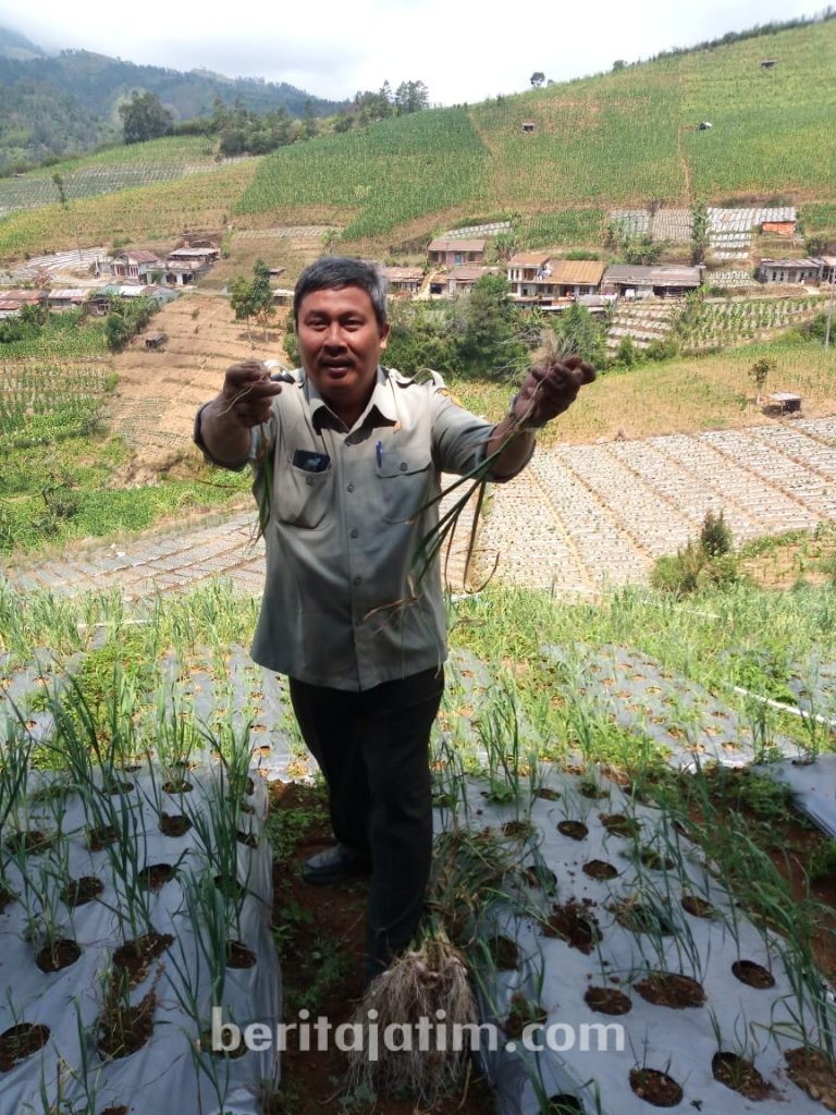 Kementan Kooperatif Ungkap Kasus Suap Impor Bawang Putih
