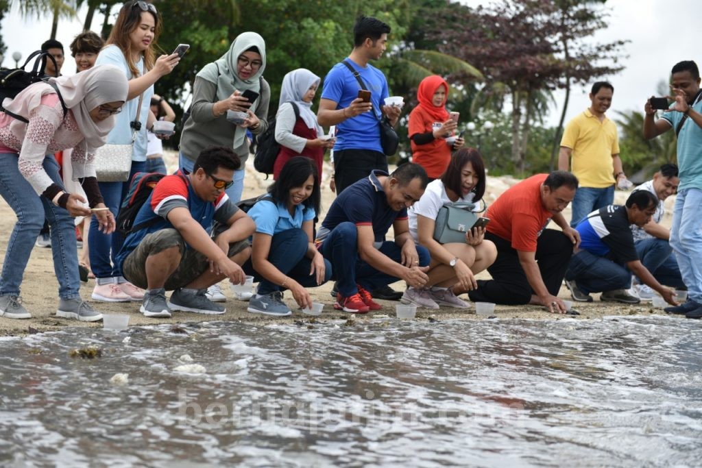 Gelar Customer Gathering, Pertamina Lepas 100 Ekor Tukik di Pantai Kuta