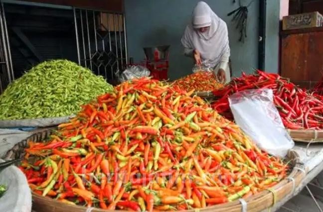 Harga Cabai Mulai Menurun, Kementan Sudah Ancang-Ancang Persiapan untuk Natal dan Tahun Baru