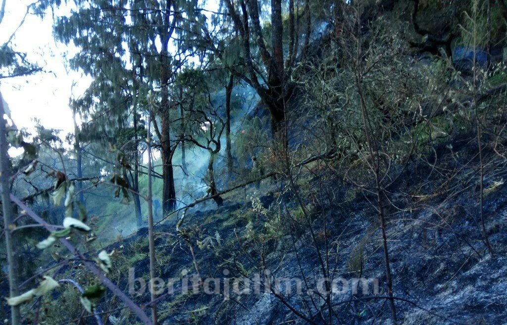 Gunung Arjuna Besok Bakal Dipadamkan Melalui Udara