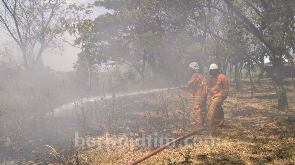 Orang Gila Diduga Bakar Hutan Kota Milik DLH Bojonegoro