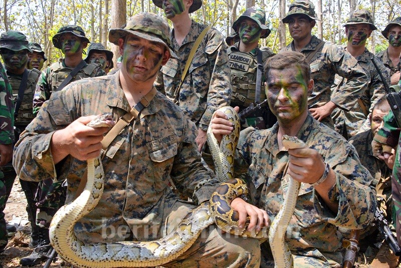 Marinir Indonesia – Amerika Latihan ‘Jungle Survival’