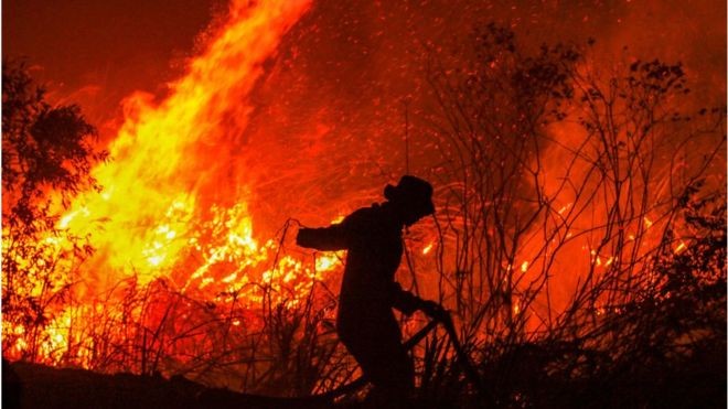 10 Juta Anak Indonesia Terpapar Polusi Udara