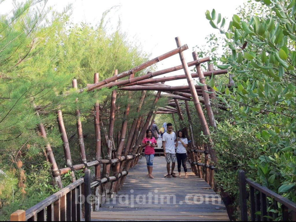 Intip Serunya Liburan ke Ekowisata Mangrove Wonorejo Surabaya