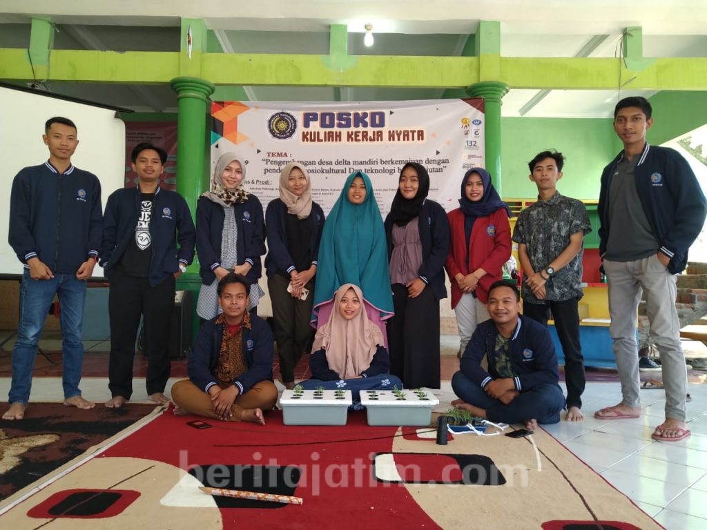 Kelompok KKNT Umsida Ajarkan Hidroponik dan Ecoprint ke Warga Penatarsewu Tanggulangin