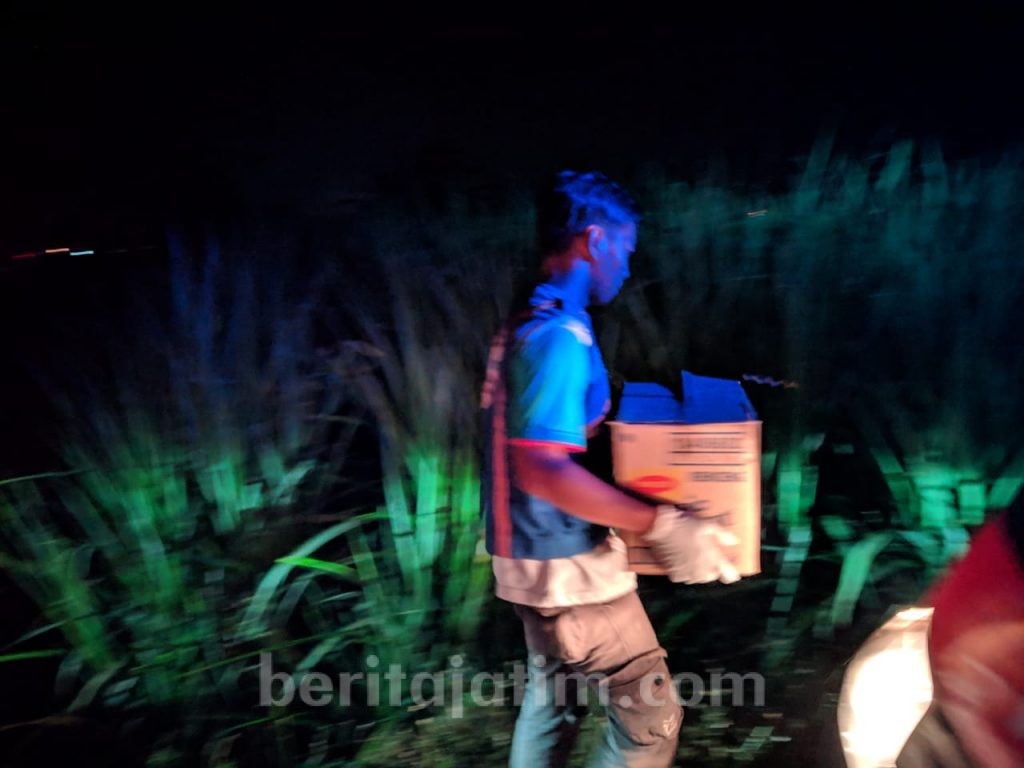 Geger Penemuan Janin Bertabur Bunga di Mojokerto