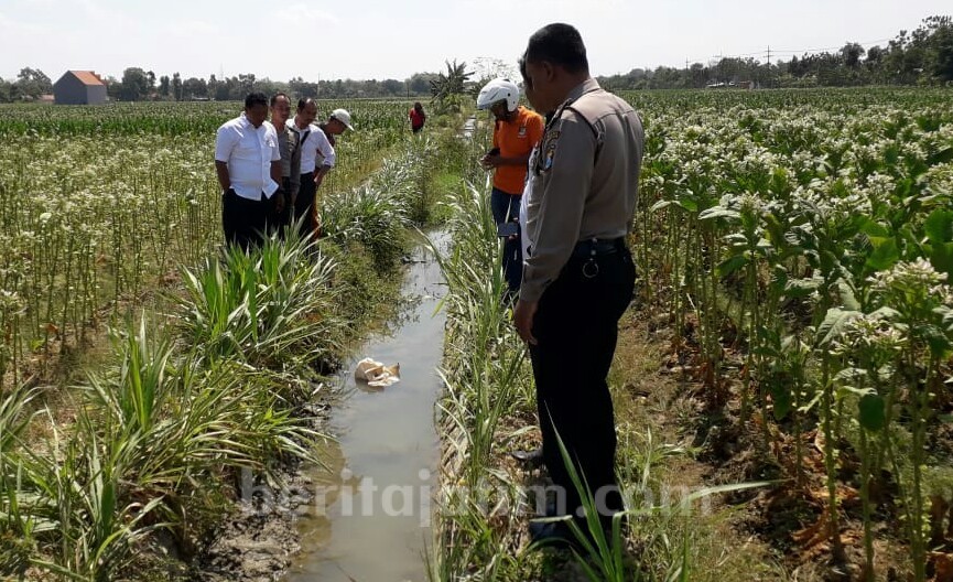 Warga Pamekasan Ditemukan Meninggal di Saluran Irigasi