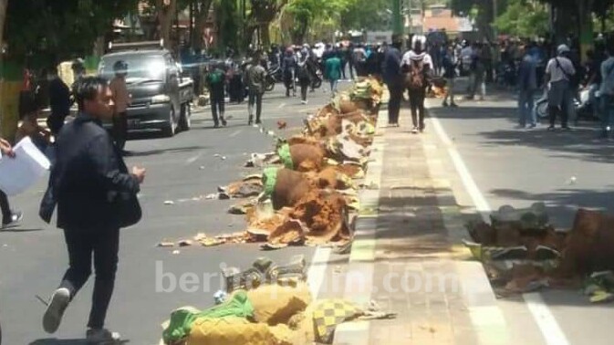 Demo Anarkis, 135 Pot Bunga di Pamekasan Rusak