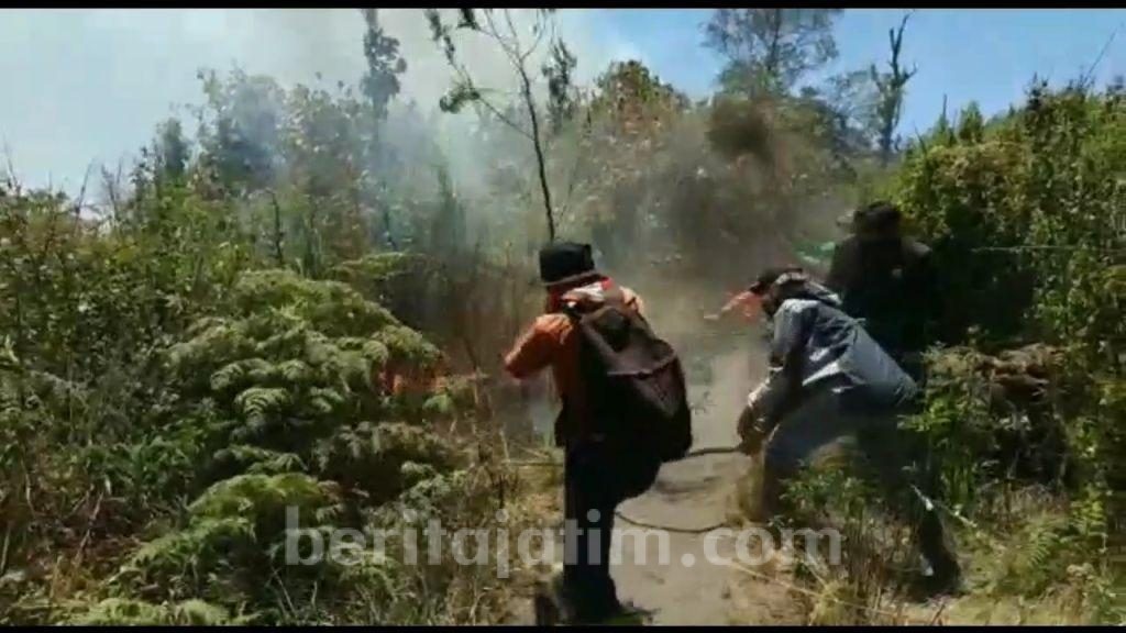 Hutan TNBTS di Argosari Terbakar