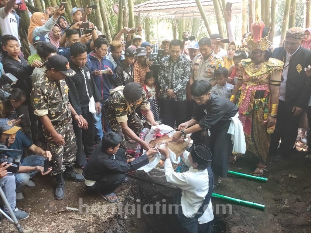 Tanam Kepala Sapi Jadi Ritual Grebek Suro di Kaki Gunung Semeru
