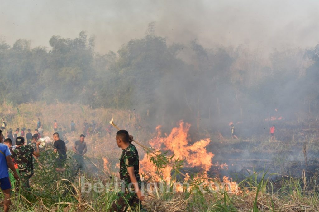 Prajurit Yonarmed Bantu Warga Padamkan Kebakaran Lahan