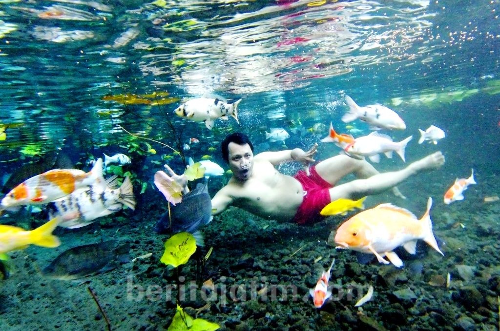 Wow..! Pemandian Tirtosari View Hadirkan Foto Underwater