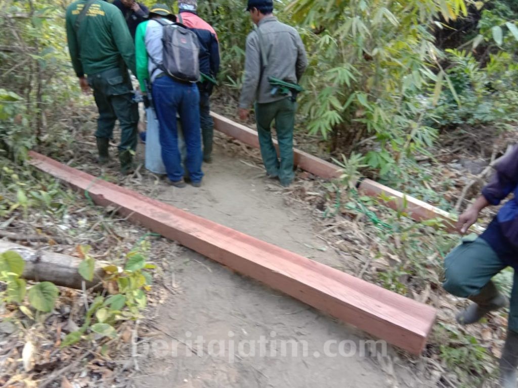 Petugas TNMB Tembak Bawah Ketiak Terduga Pencurian Hingga Tewas