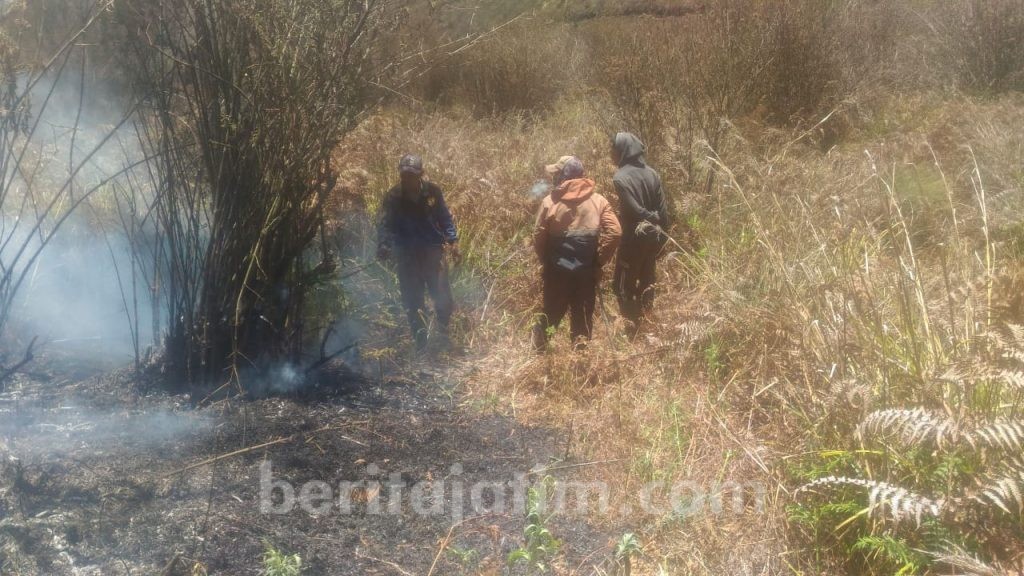 Kebakaran Gunung Semeru Kini Capai 105 Hektare