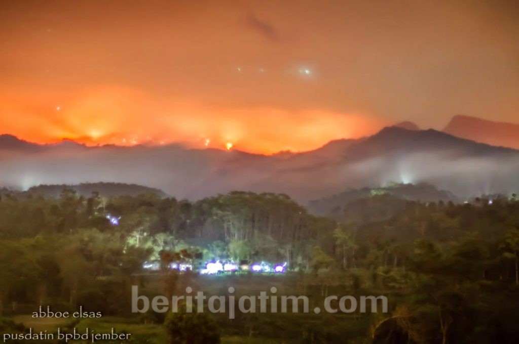 335 Hektare Hutan di Argopuro dan Gunung Ijen Terbakar