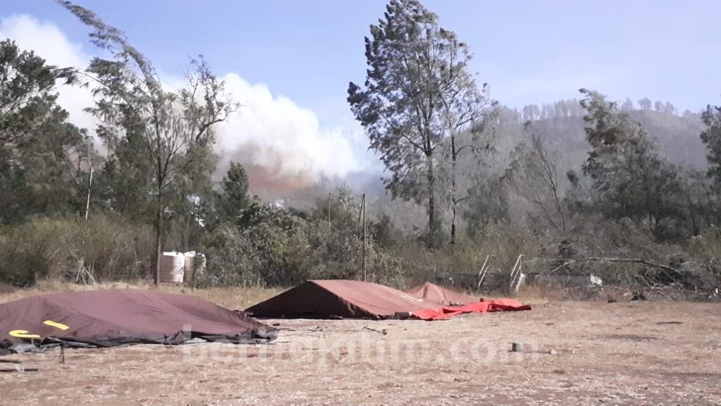Kebakaran Gunung Ranti Menjalar ke Kawah Ijen