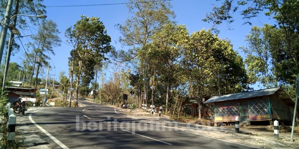Evakuasi Pohon Tumbang Cangar-Pacet Masih Berlangsung