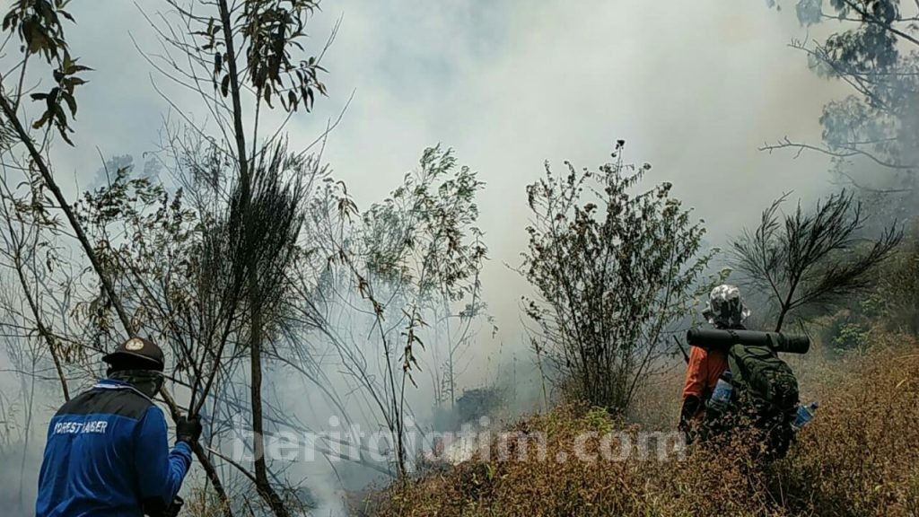 Petugas Kesulitan Padamkan Api di Tahura R Soerjo Gunung Welirang