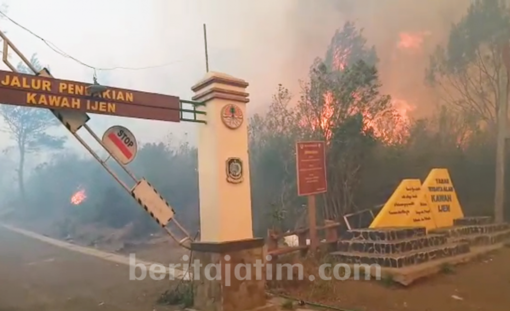 Kebakaran di Gunung Ijen Cukup Parah, BPBD Banyuwangi Lakukan Isolasi