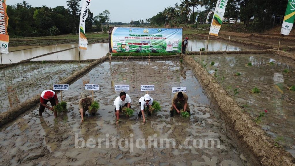 Masuki Musim Tanam, PG Perbanyak Demplot Penggunaan Pupuk Organik