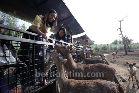 Jatim Park Putuskan Tutup Satu Bulan Untuk Cegah Penyebaran Covid-19