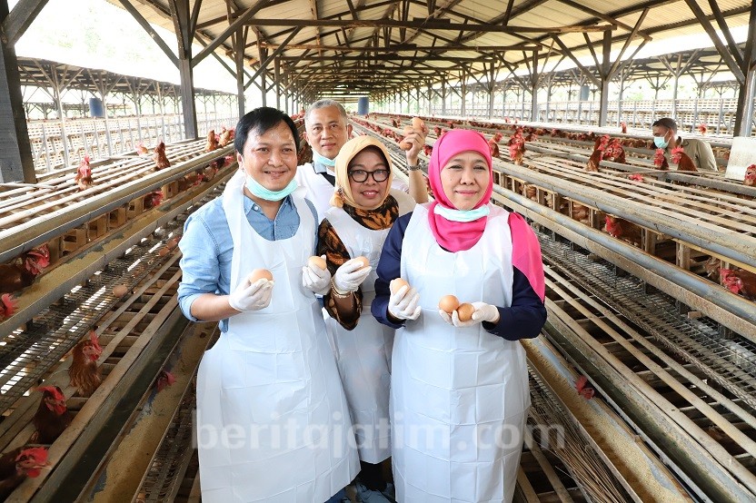 Gubernur Khofifah: Konsumsi Telur Jatim, Sehat dan Tak Beracun
