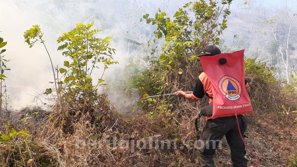 15 Hektare Hutan Taman Nasional Meru Betiri Terbakar Beritajatim Com