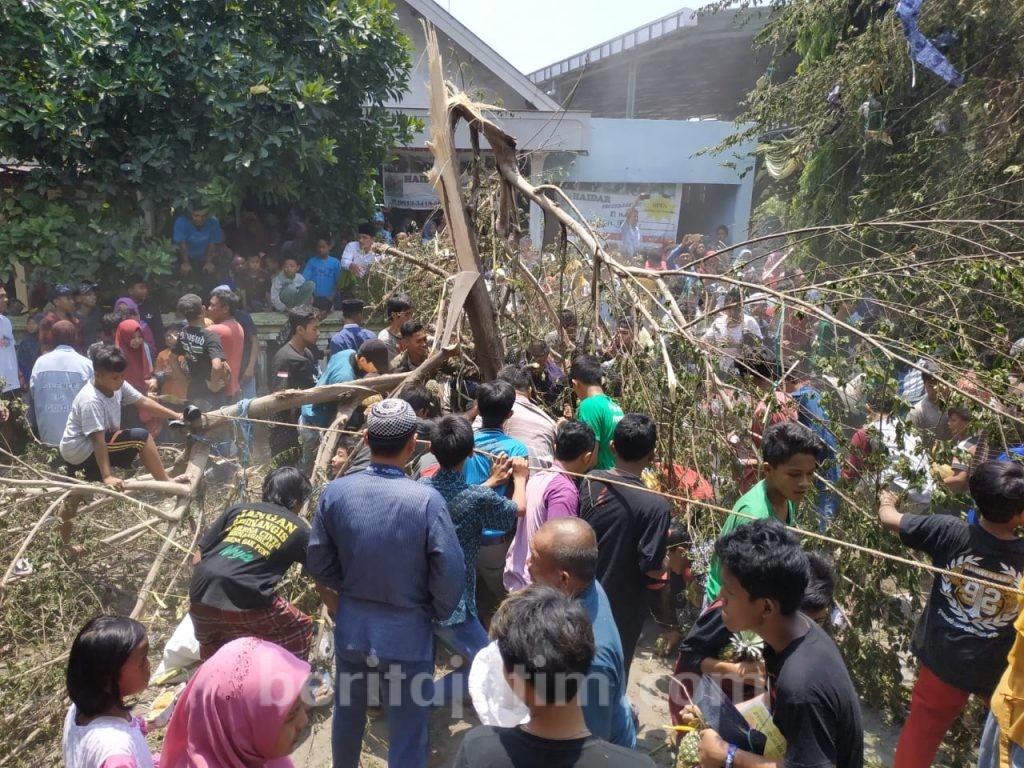 Ratusan Warga di Mojokerto Berebut Aneka Barang di Pohon Kersen