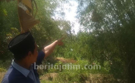 Diserang Ratusan Tawon Ndas, Petani Tuban Meninggal, Begini Kronologinya