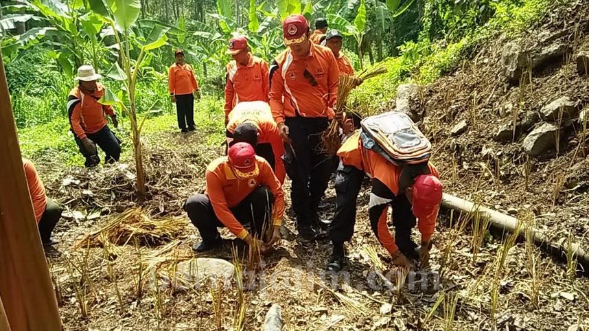 31.800 Bibit Vetifer di Lereng Sumber Lumpang Mojokerto