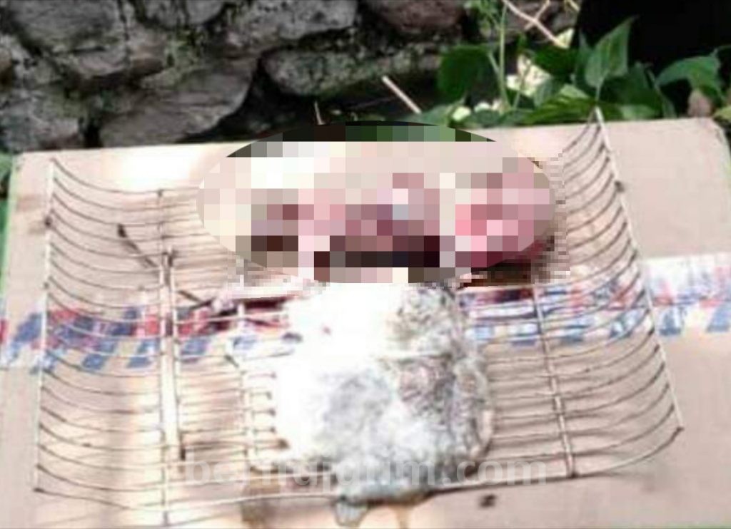 Dikira Boneka, Ternyata Mayat Bayi Mengapung di Sungai