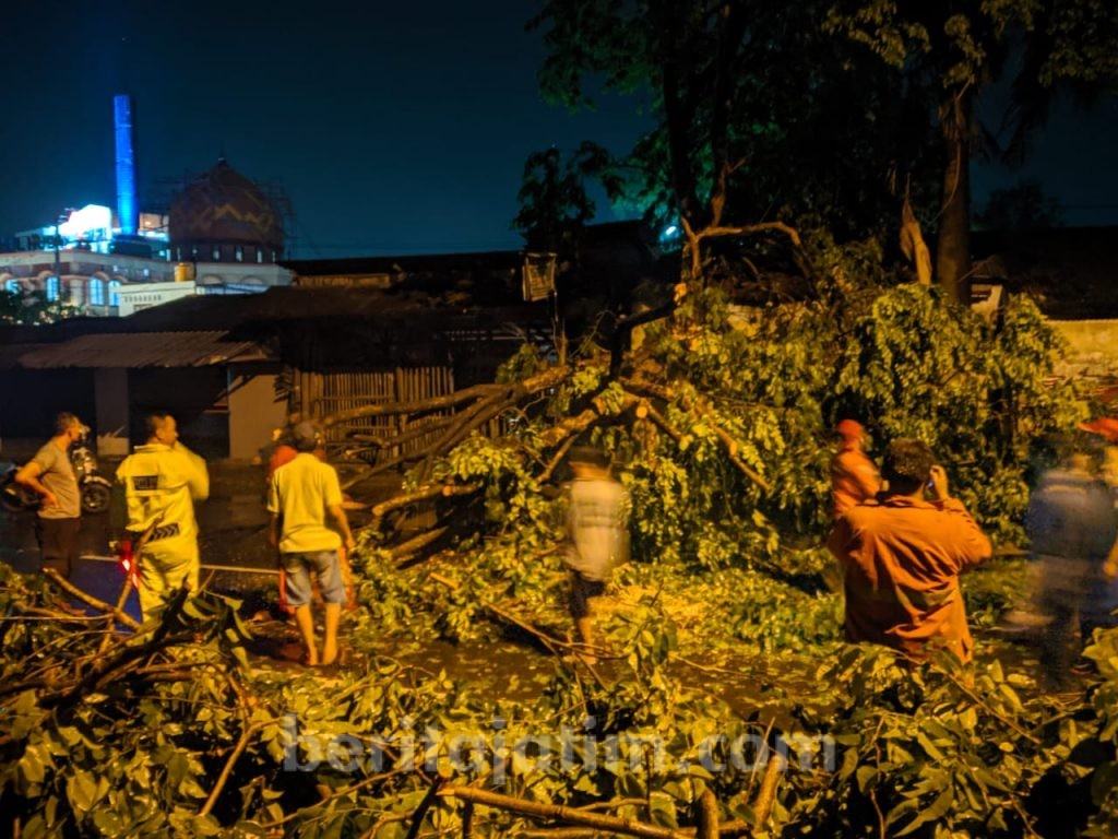 Empat Pemotor Tertimpa Pohon Tumbang, Dua Dievakuasi ke RS