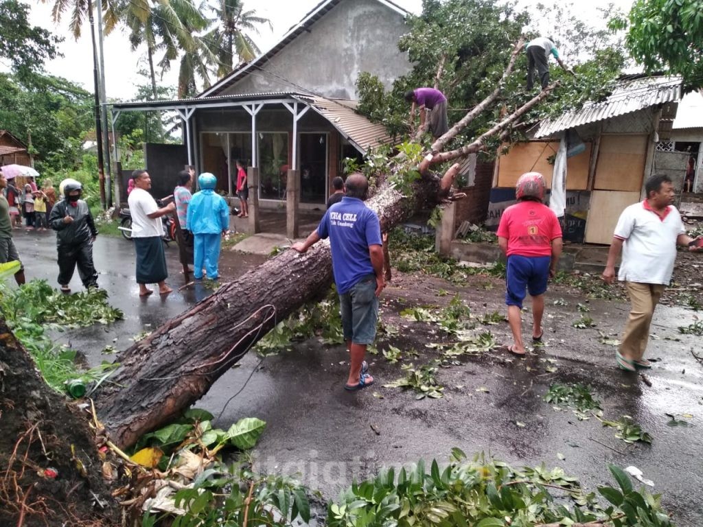 Longsor dan Angin Kencang Warnai Hujan di Jember
