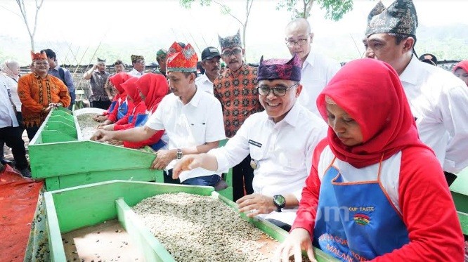 Yuks Intip Keindahan Hutan Mahoni Di Glenmore Banyuwangi