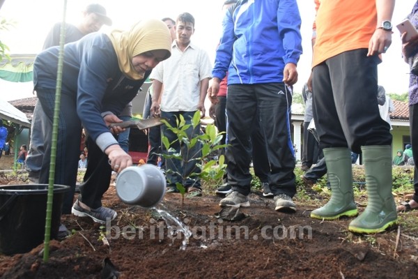 Musim Hujan Tiba, Bupati Kediri Reboisasi Lereng Wilis