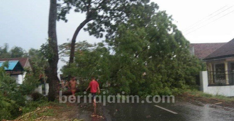 Hujan Es dan Angin Kencang Terjang Jombang