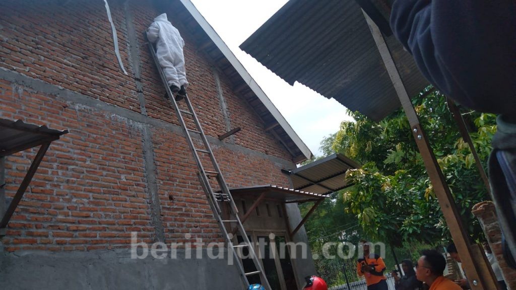 Enam Sarang Tawon Ndas Bikin Was-was