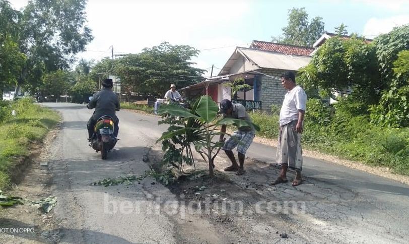 Jalan Raya di Sampang Bisa Ditanami Pisang