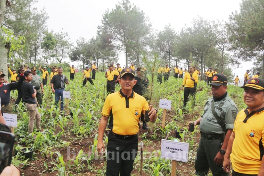 Polresta Kediri Tanam Ratusan Pinus di Lereng Wilis