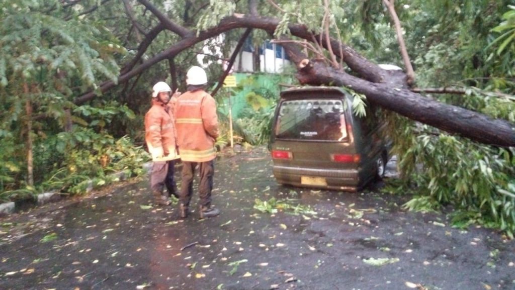 Ada 67 Pohon Tumbang di Surabaya Saat Hujan Deras Disertai Angin