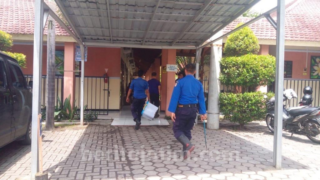 Petugas PMK Tangkap 2 Kobra di RS Citra Husada Jember