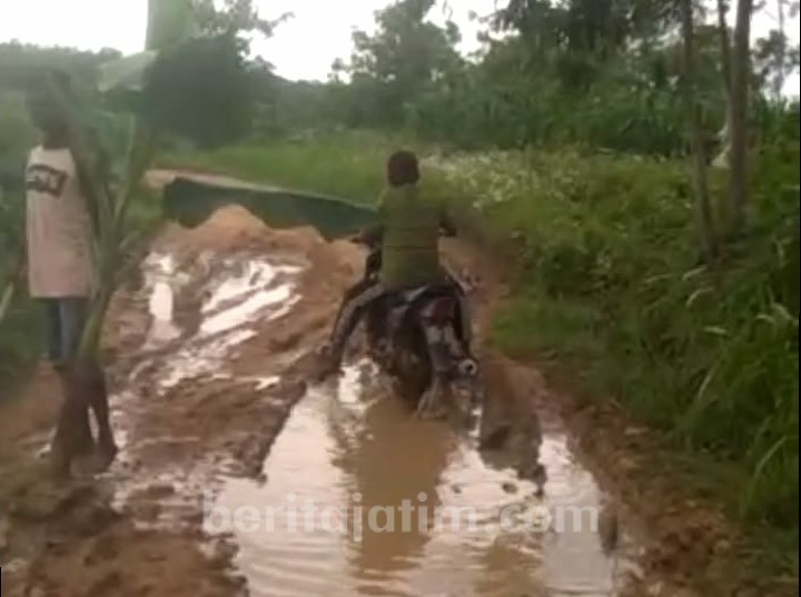 Jalan Raya di Sampang Mirip Sawah
