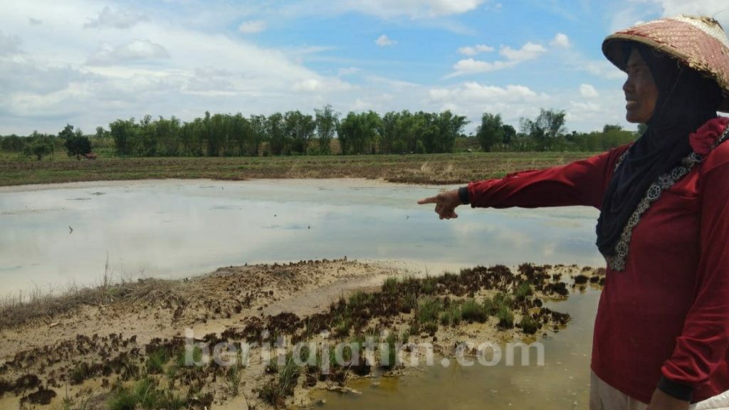Sumber Air di Area Persawahan Mojokerto Keluarkan Rasa Asin